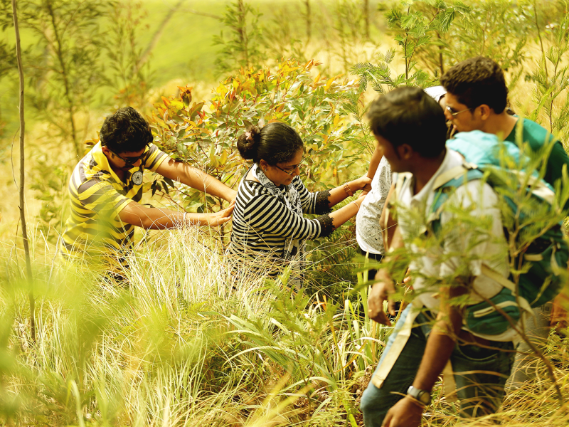 Kalypso Experiential Learning in at Munnar